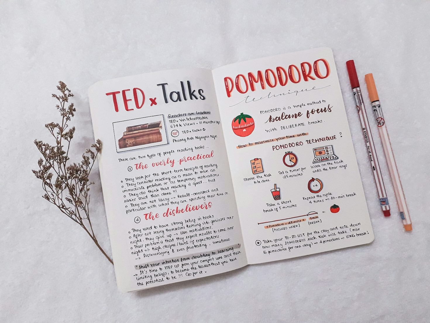 Strategies For Effective Long Term Language Retention